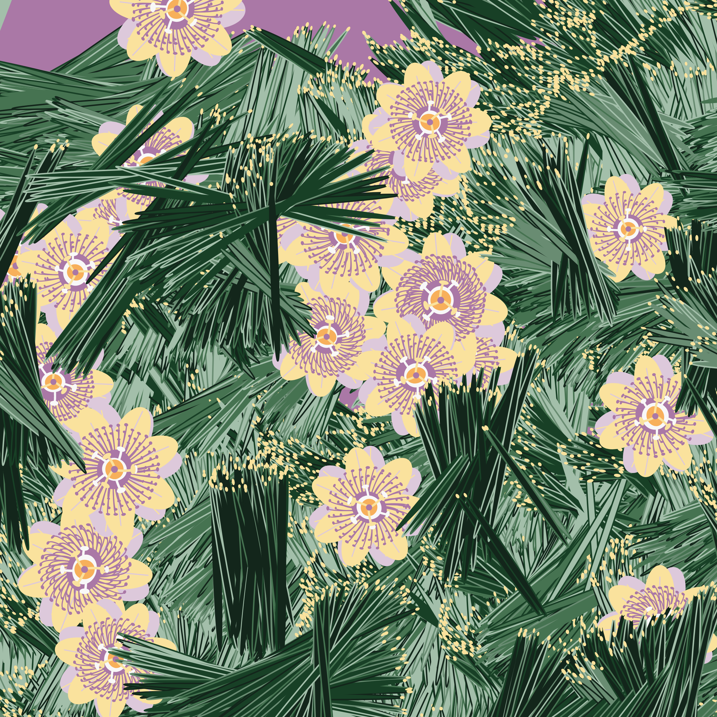 Art Blocks - Art Blocks v2 - Fragments of an Infinite Field #904 - NFT # 159000904