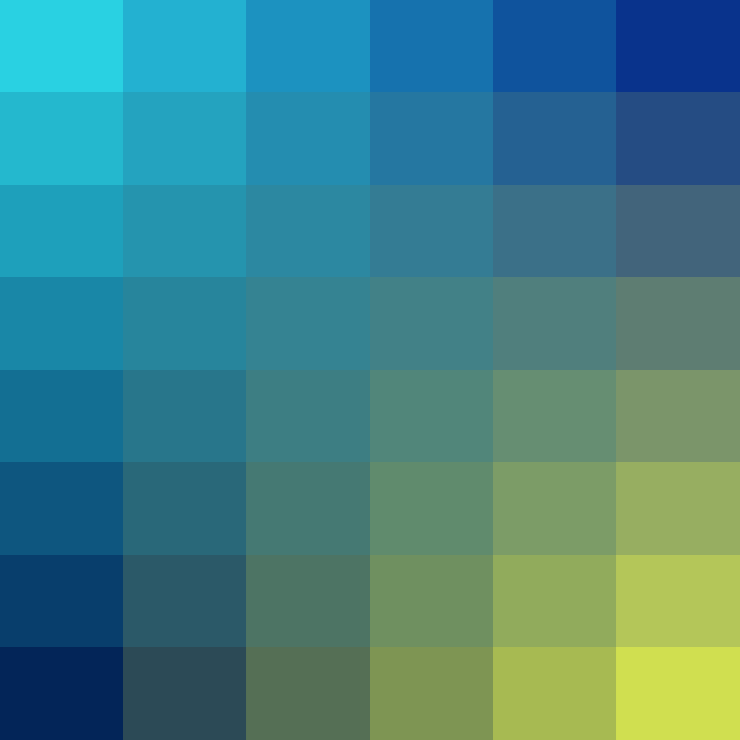 Art Blocks - Art Blocks v2 - Color Study #70 - NFT # 16000070