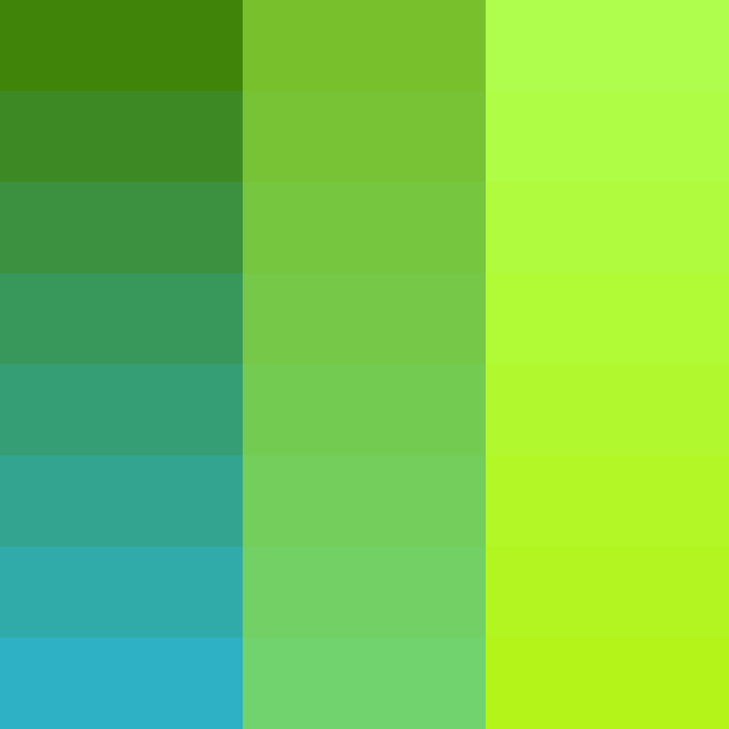 Art Blocks - Art Blocks v2 - Color Study #211 - NFT # 16000211