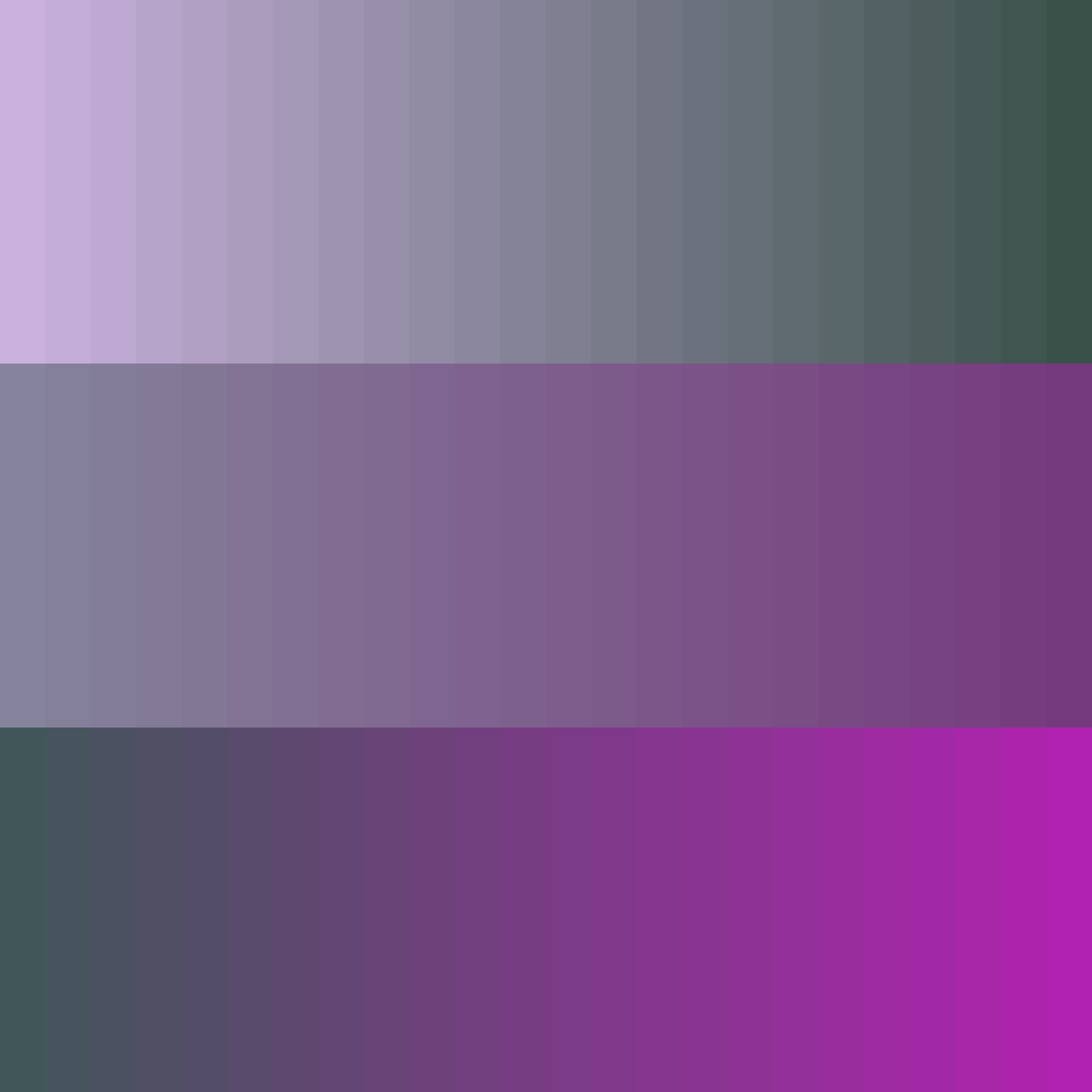 Art Blocks - Art Blocks v2 - Color Study #305 - NFT # 16000305