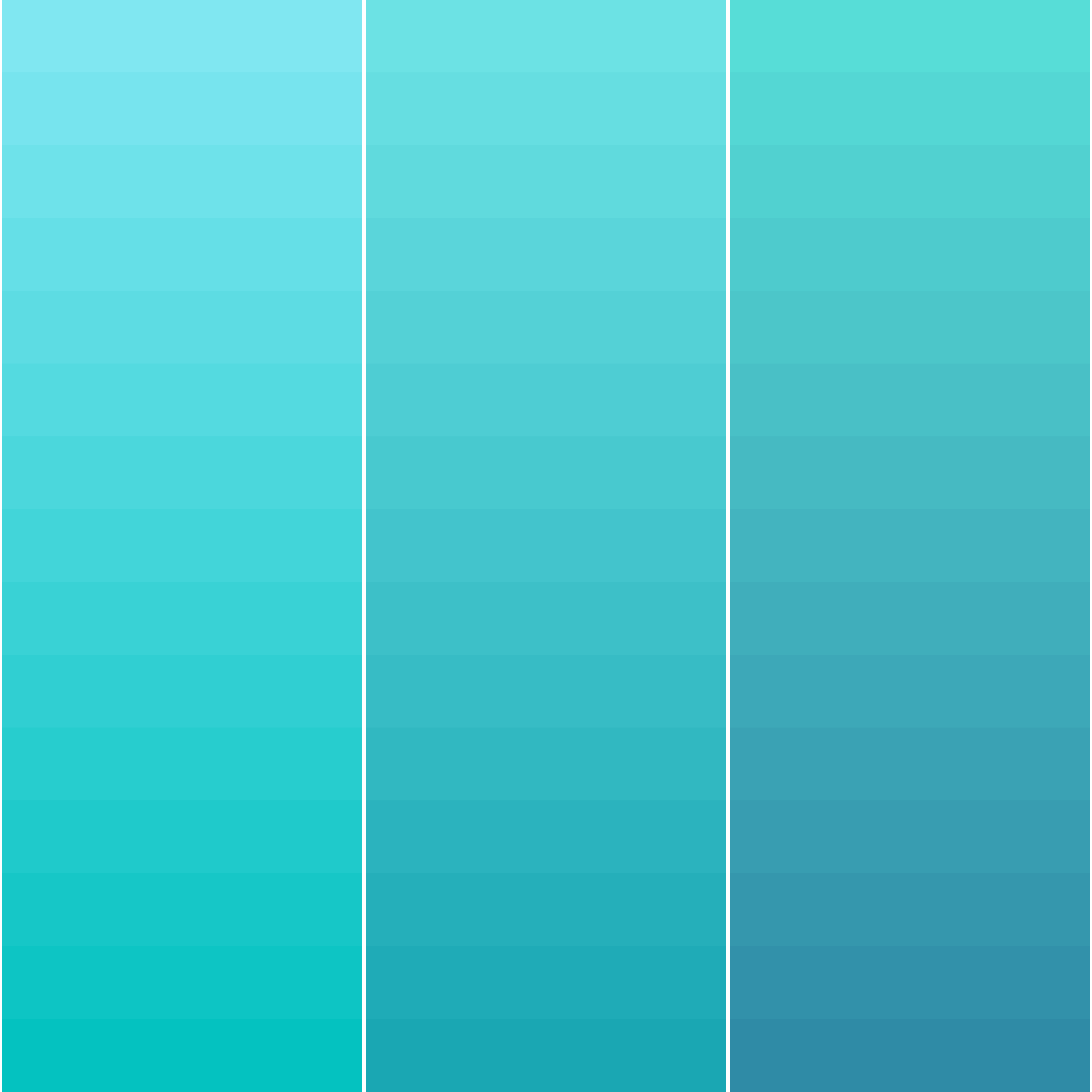 Art Blocks - Art Blocks v2 - Color Study #585 - NFT # 16000585