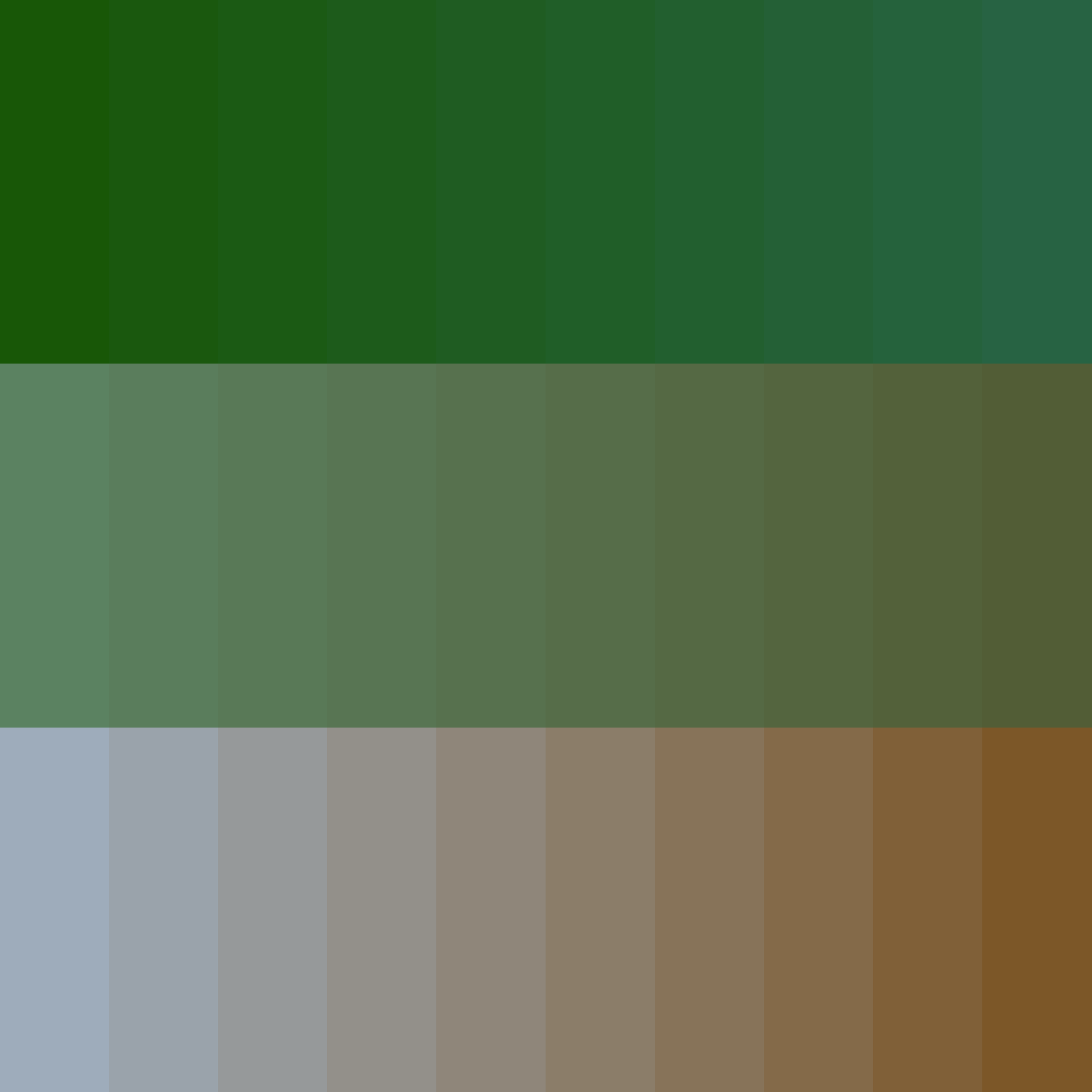 Art Blocks - Art Blocks v2 - Color Study #608 - NFT # 16000608