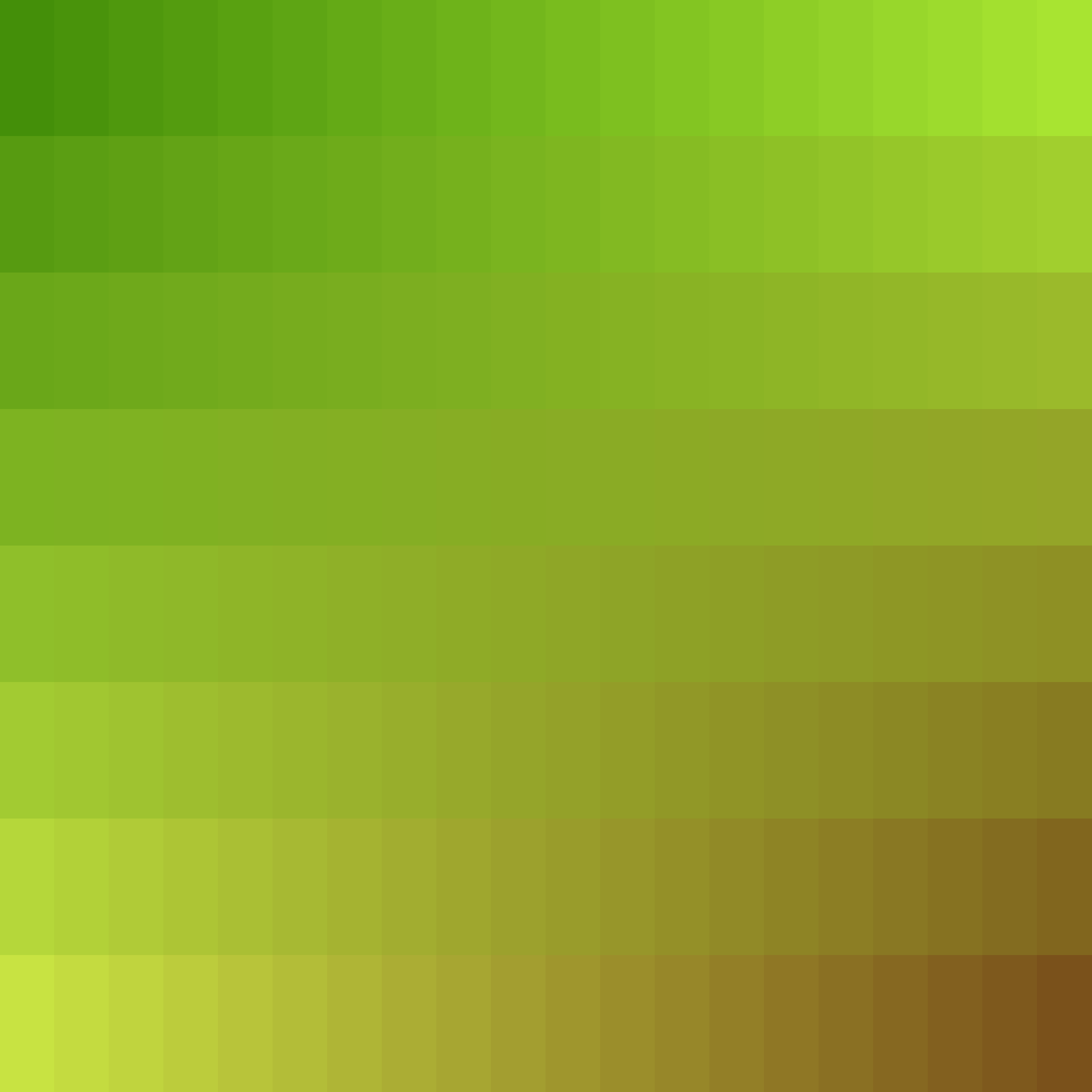 Art Blocks - Art Blocks v2 - Color Study #1529 - NFT # 16001529