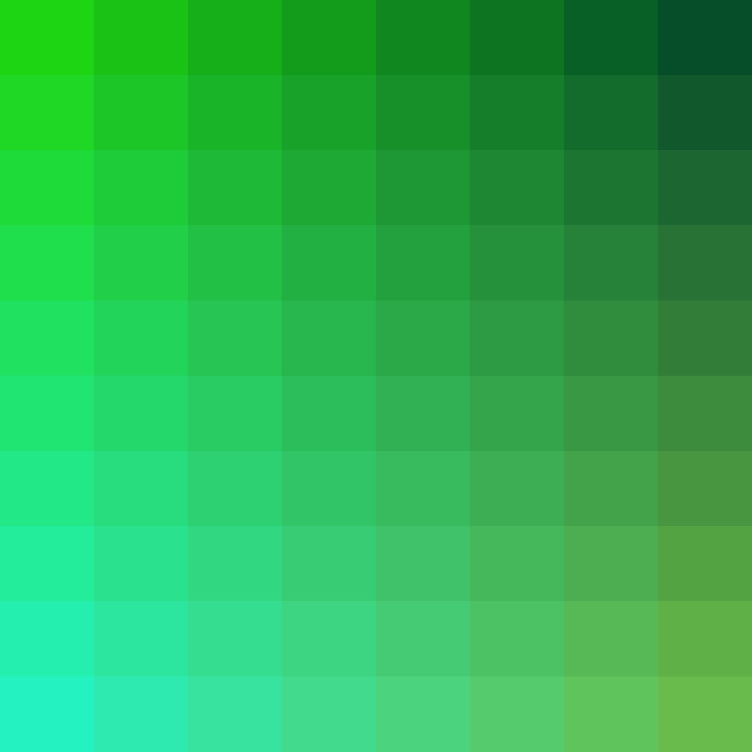 Art Blocks - Art Blocks v2 - Color Study #1609 - NFT # 16001609