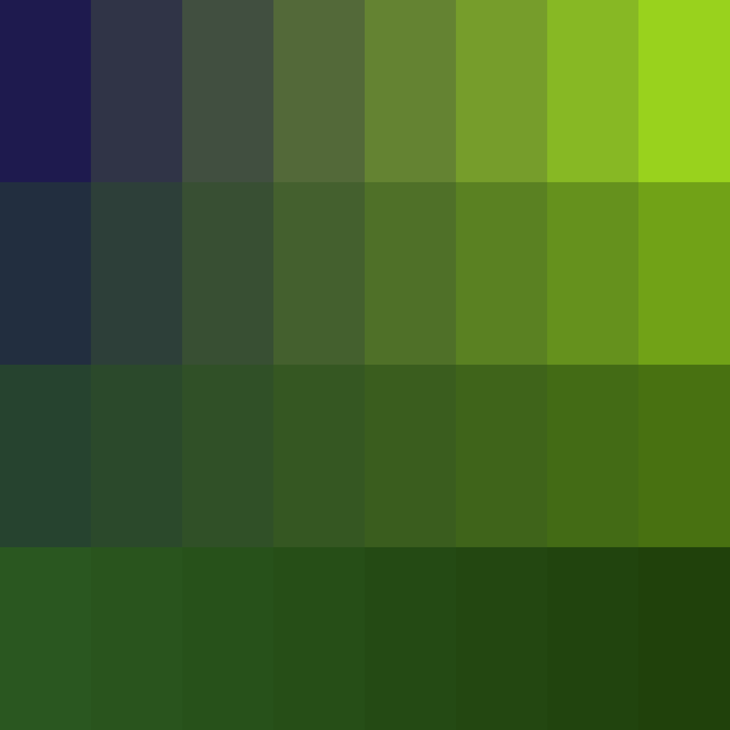 Art Blocks - Art Blocks v2 - Color Study #1935 - NFT # 16001935