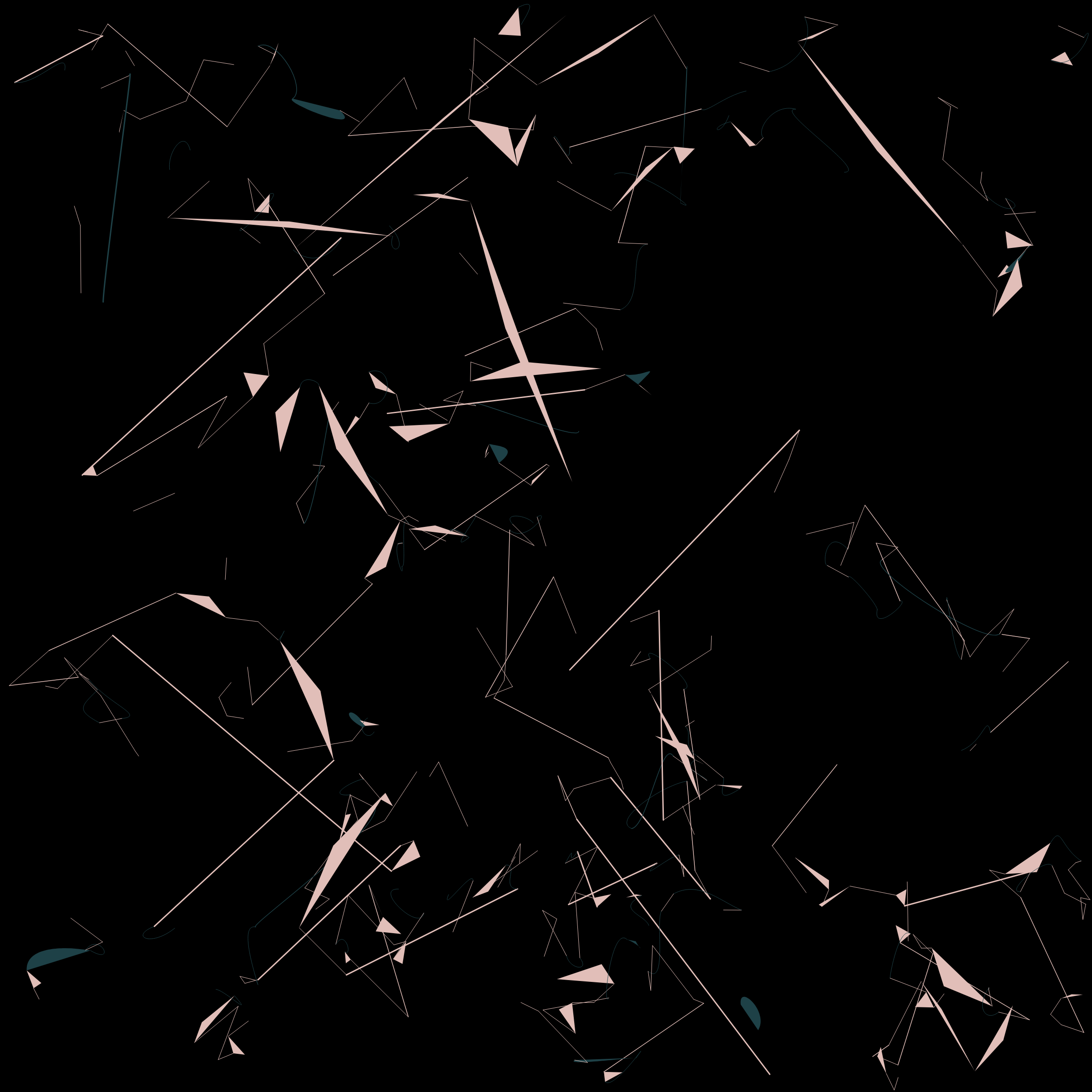 Art Blocks - Art Blocks v2 - InC #40 - NFT # 244000040