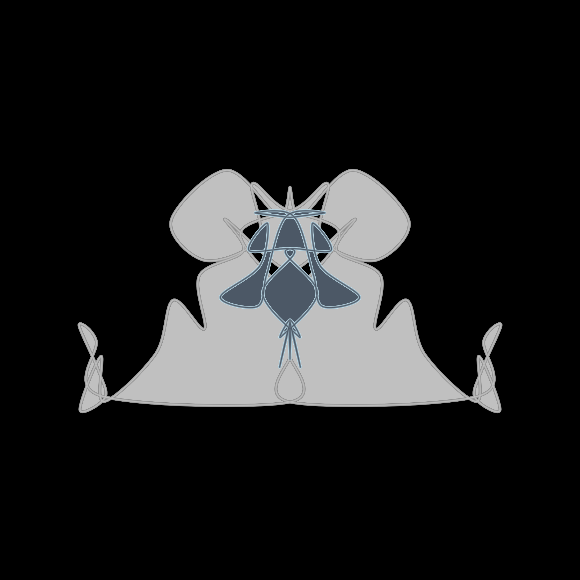 Art Blocks - Art Blocks v2 - Cryptoblots #152 - NFT # 3000152