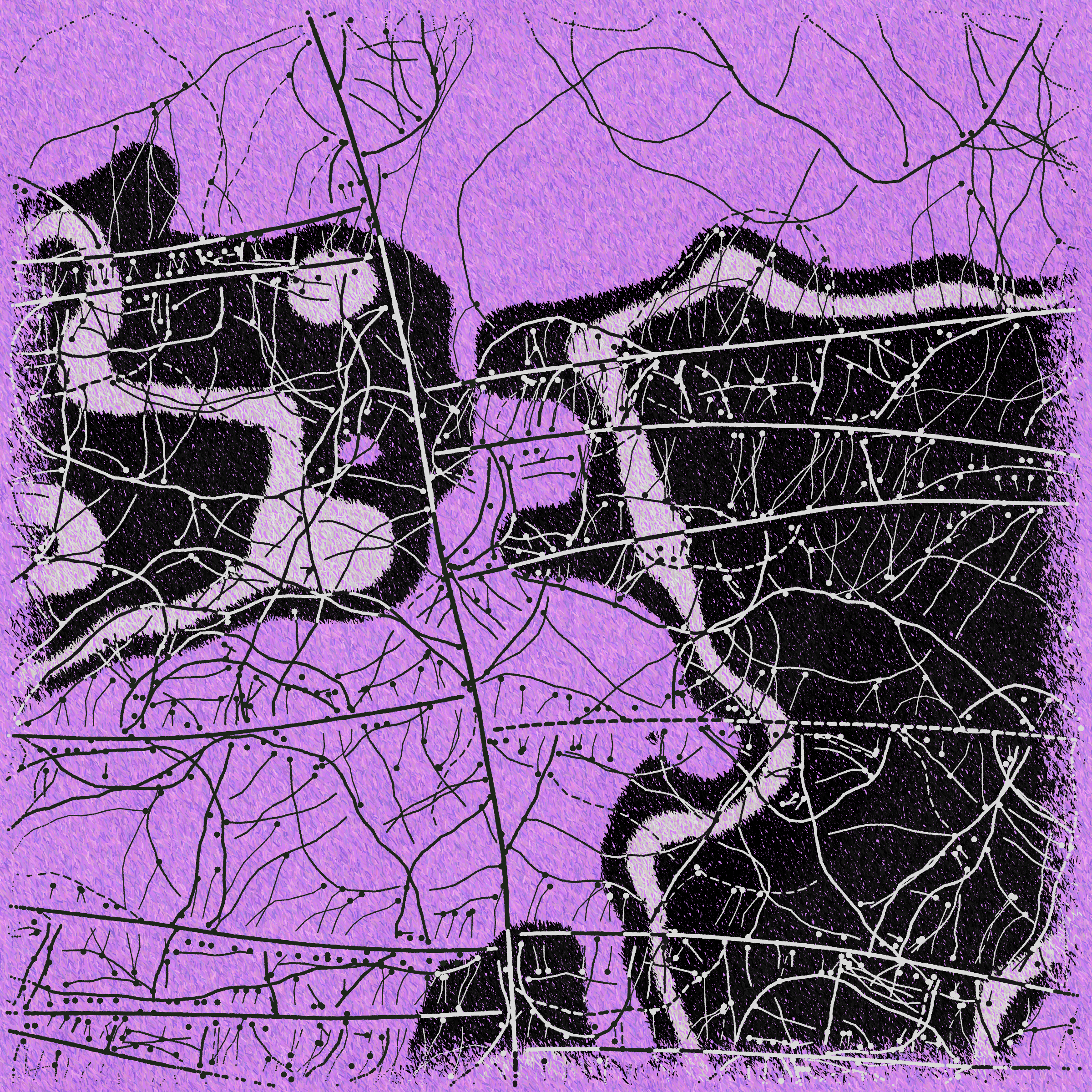 Art Blocks - Art Blocks v2 - Maps of Nothing #2 - NFT # 316000002