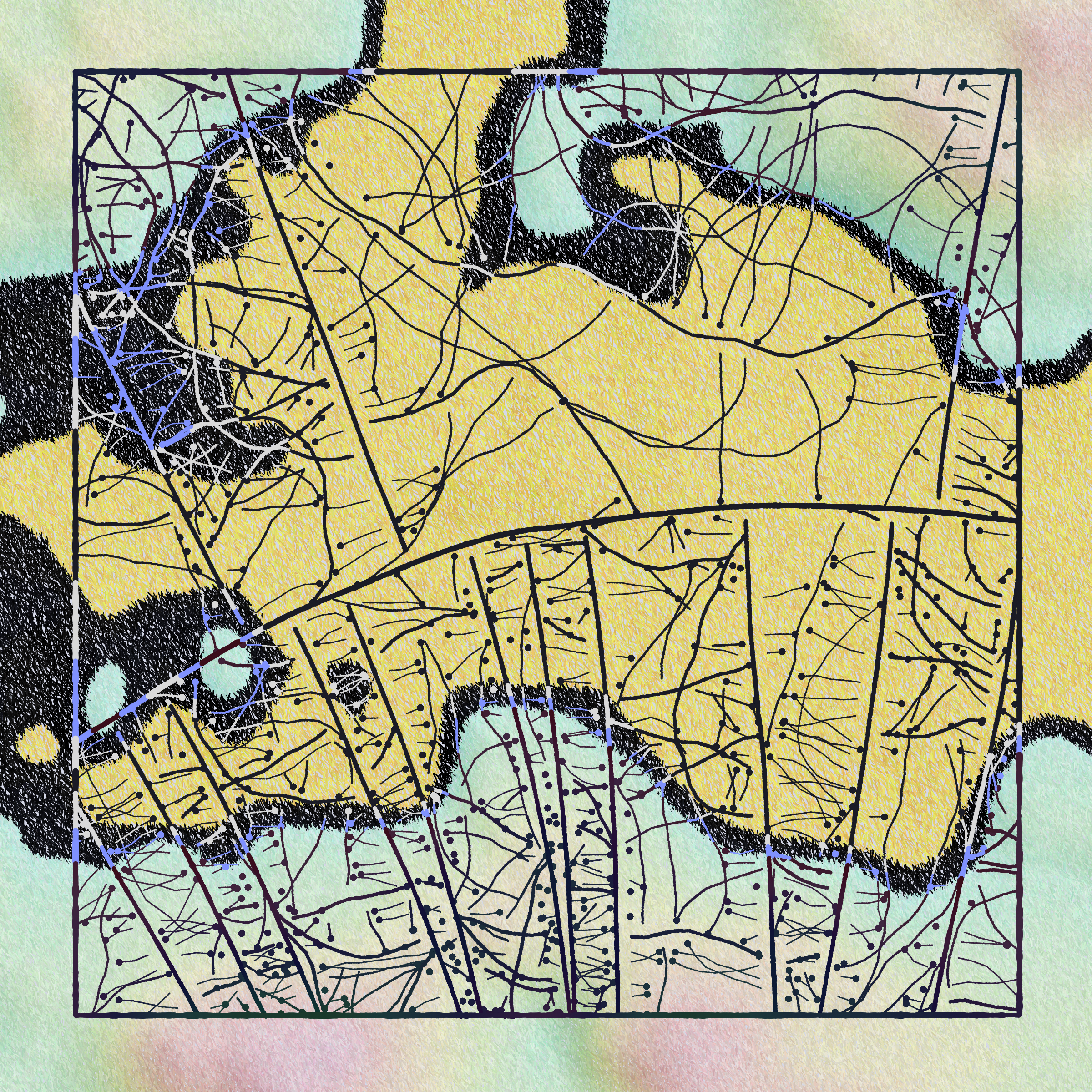 Art Blocks - Art Blocks v2 - Maps of Nothing #41 - NFT # 316000041