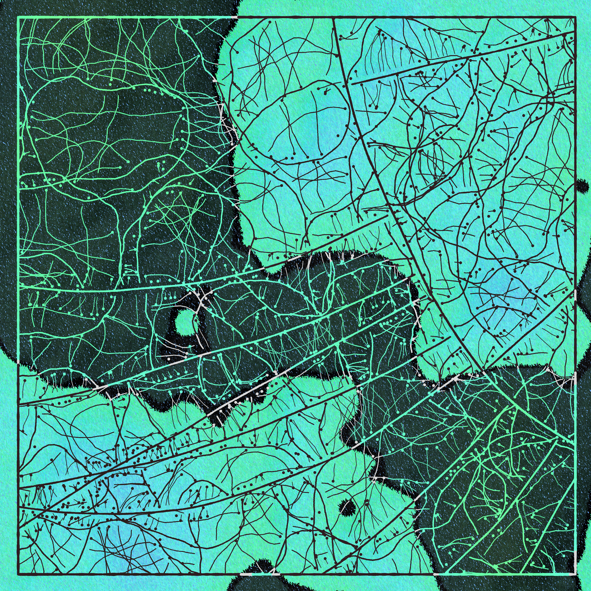 Art Blocks - Art Blocks v2 - Maps of Nothing #164 - NFT # 316000164