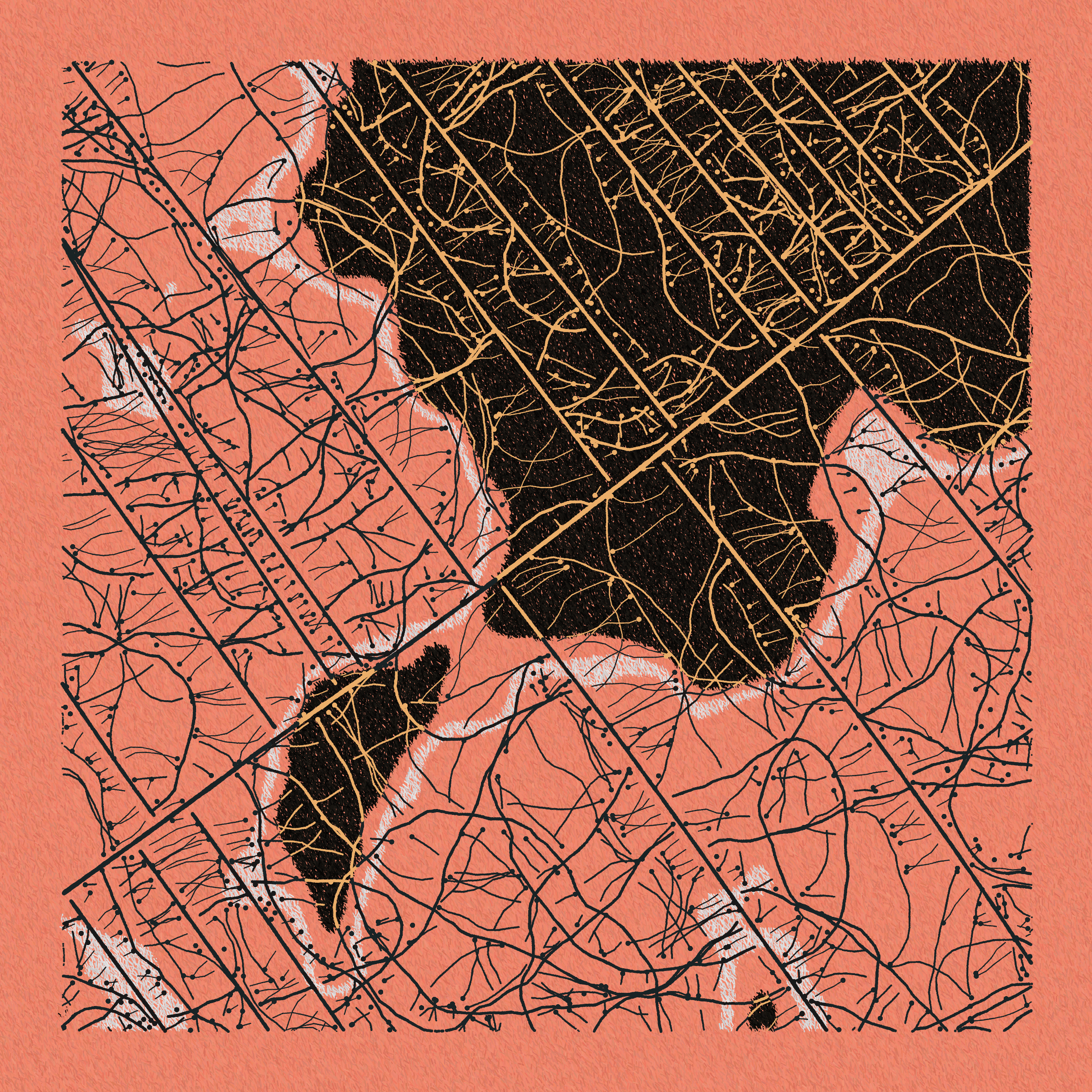 Art Blocks - Art Blocks v2 - Maps of Nothing #351 - NFT # 316000351