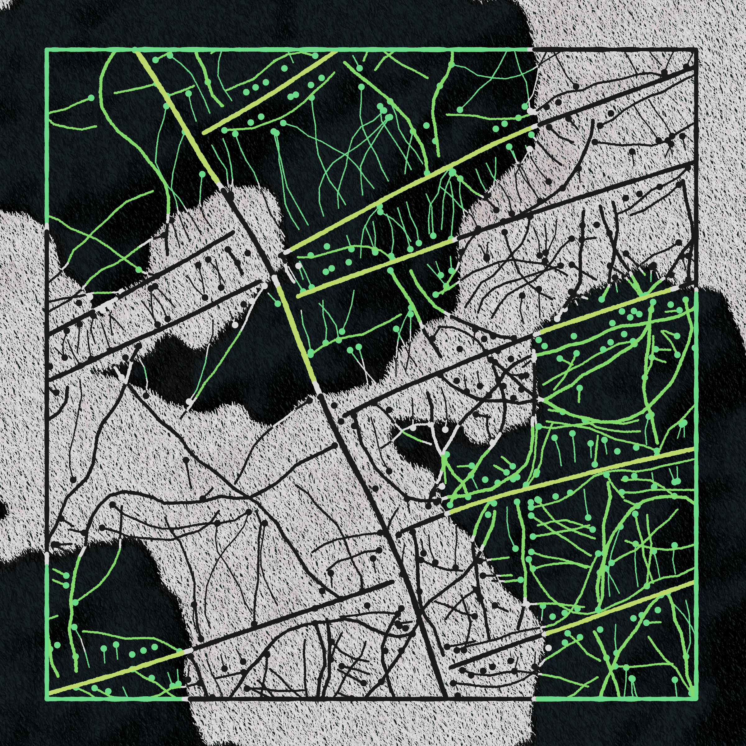 Art Blocks - Art Blocks v2 - Maps of Nothing #570 - NFT # 316000570