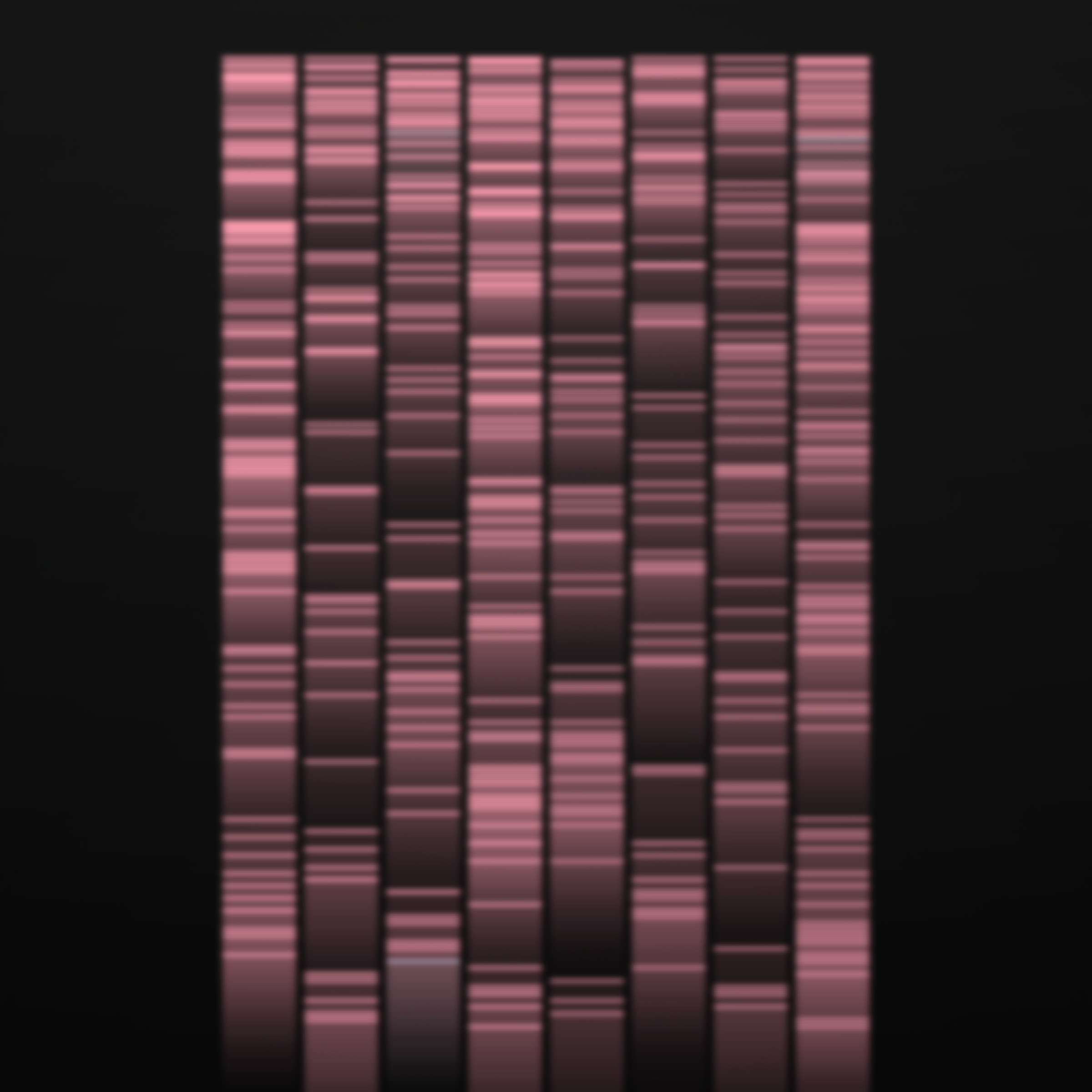 Gels #182