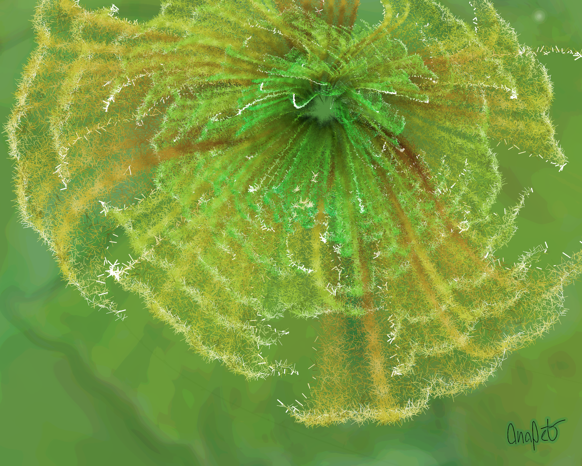 Fleur #114